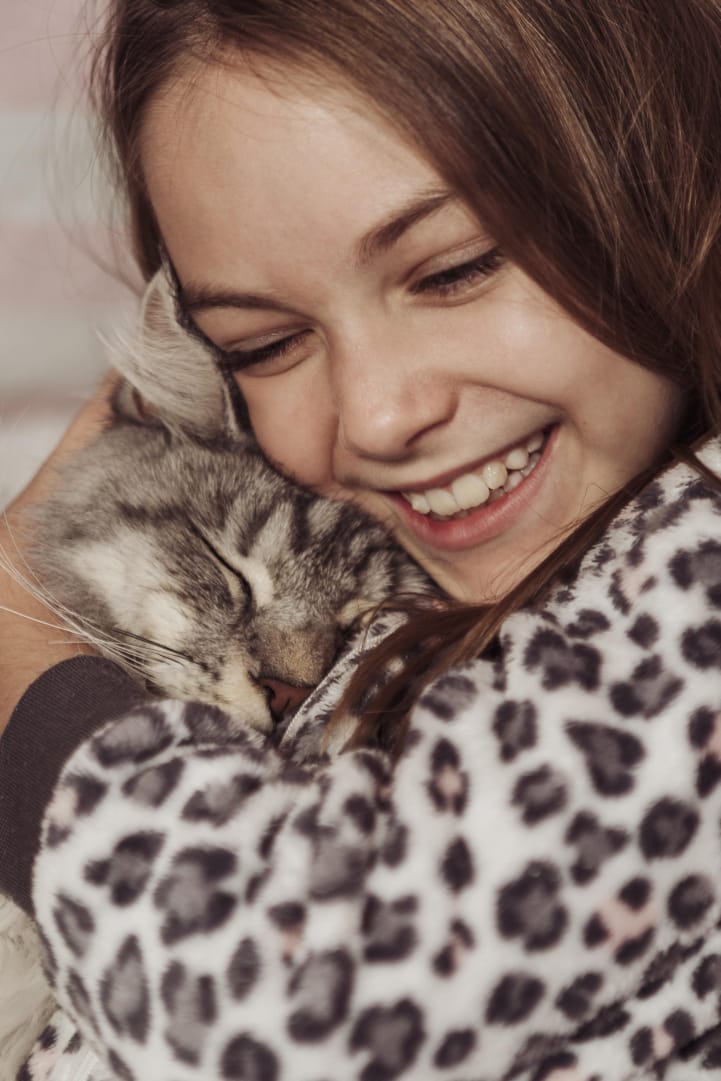 Do you love your cat? Here are 10 rules to learn it