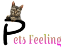 pets feeling