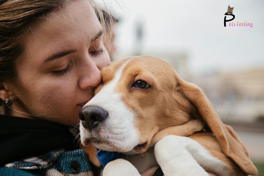 Emotional Support Dog